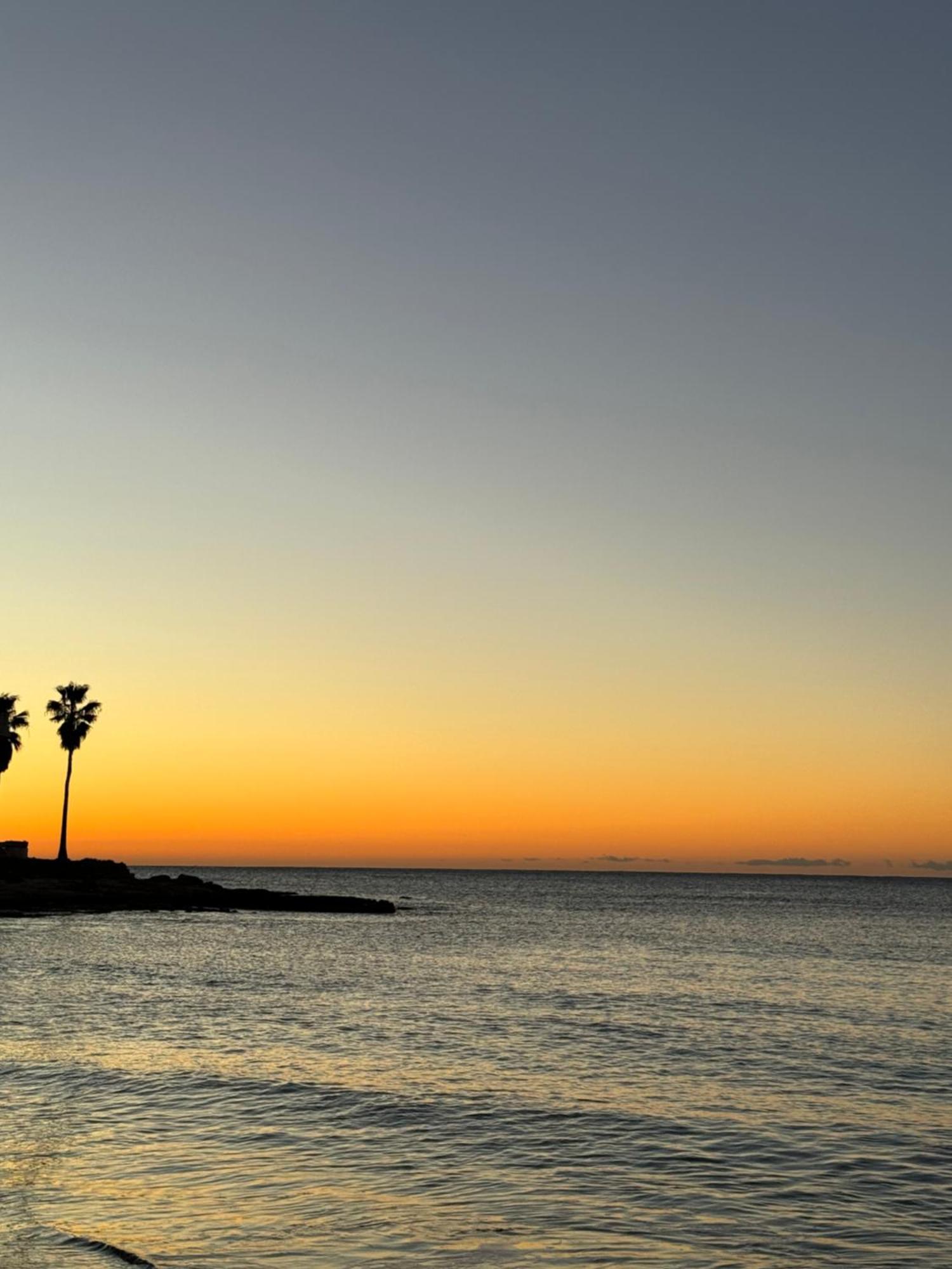 Beach Apartament In Torrevieja Extérieur photo